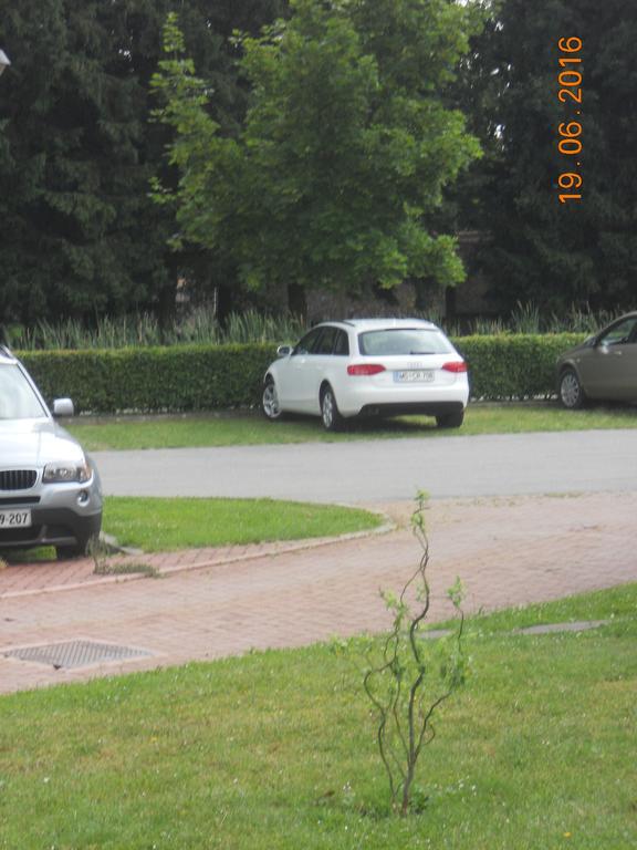 Apartment Nagelj Moravske Toplice Esterno foto